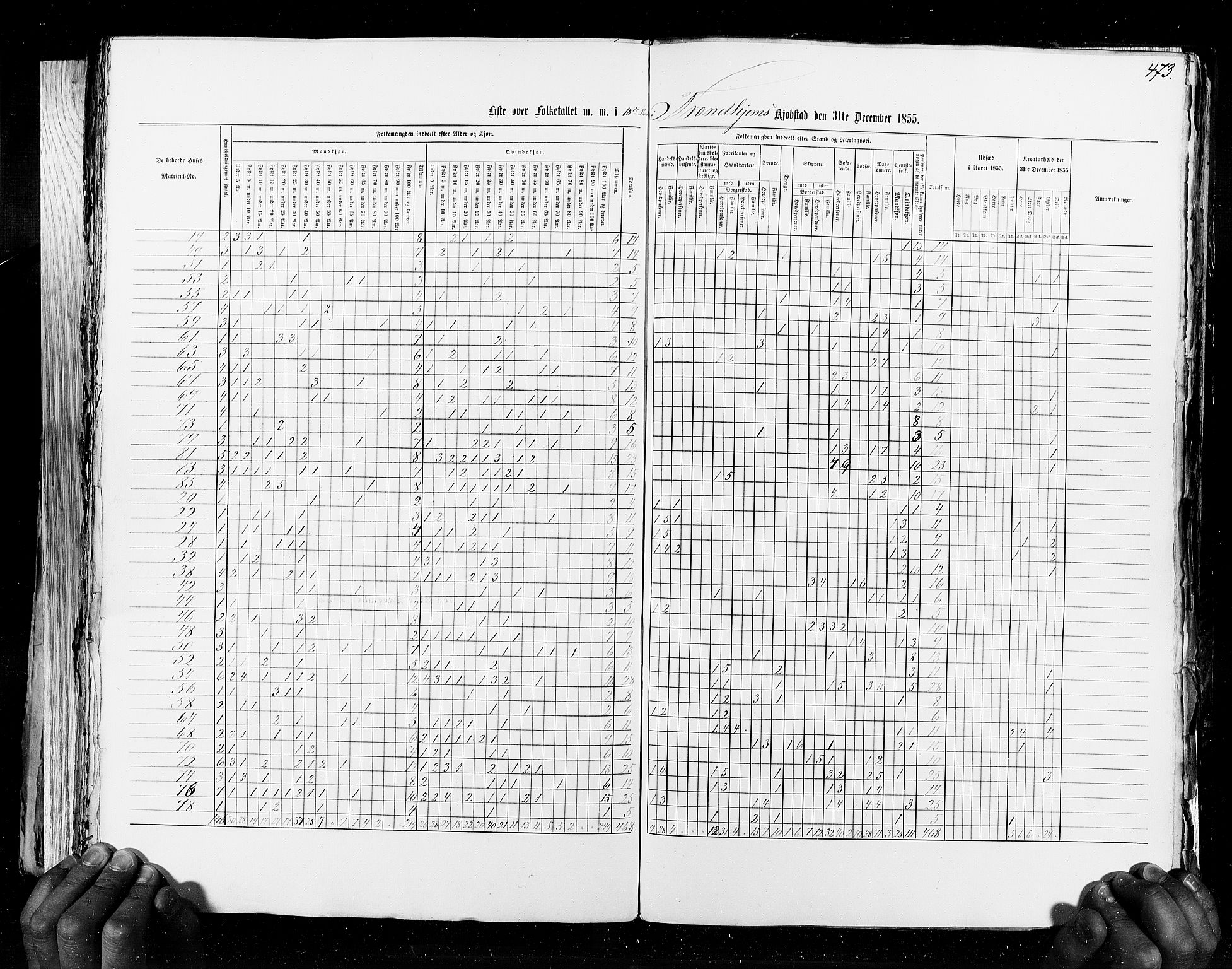 RA, Census 1855, vol. 8: Risør-Vadsø, 1855, p. 473