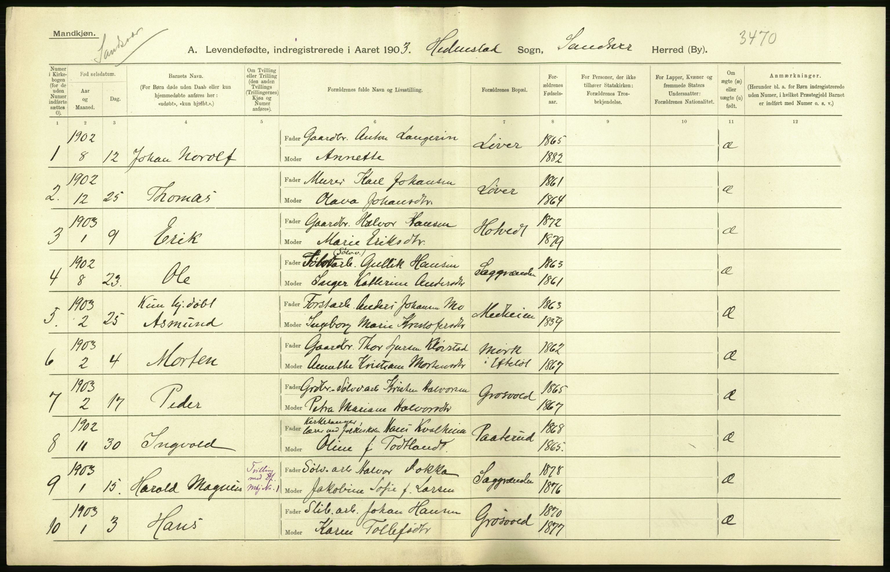 Statistisk sentralbyrå, Sosiodemografiske emner, Befolkning, AV/RA-S-2228/D/Df/Dfa/Dfaa/L0007: Buskeruds amt: Fødte, gifte, døde, 1903, p. 46