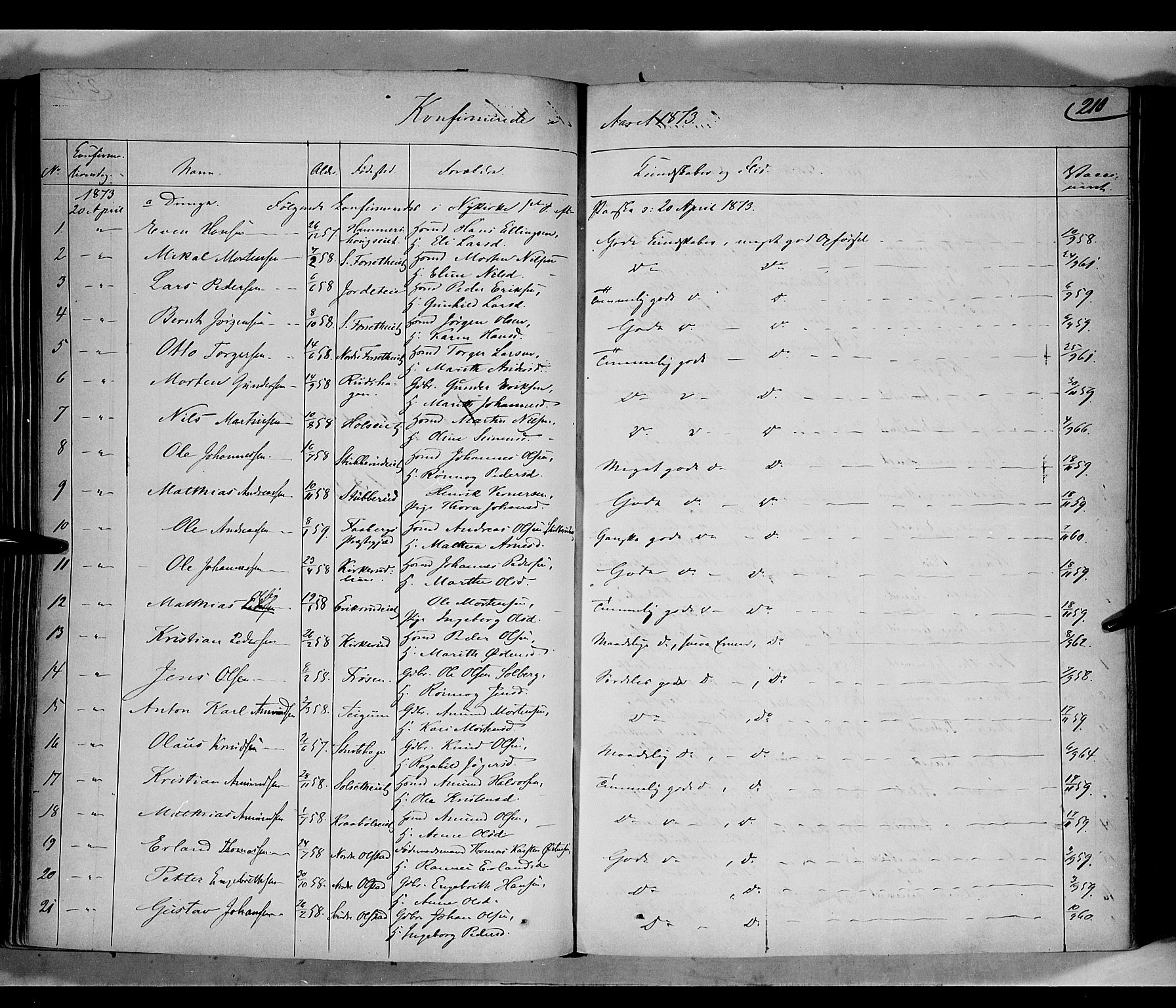 Gausdal prestekontor, SAH/PREST-090/H/Ha/Haa/L0009: Parish register (official) no. 9, 1862-1873, p. 210