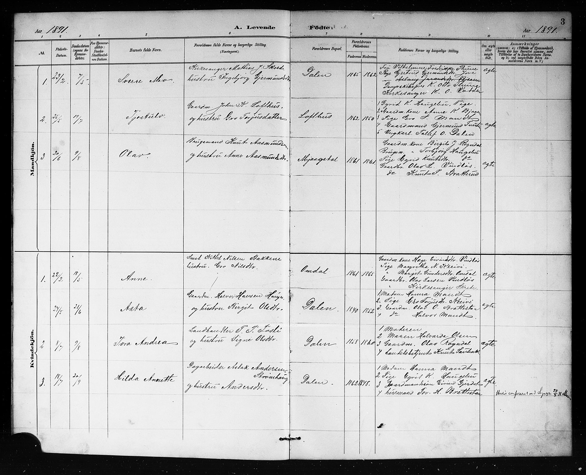 Lårdal kirkebøker, SAKO/A-284/G/Gb/L0003: Parish register (copy) no. II 3, 1889-1920, p. 3