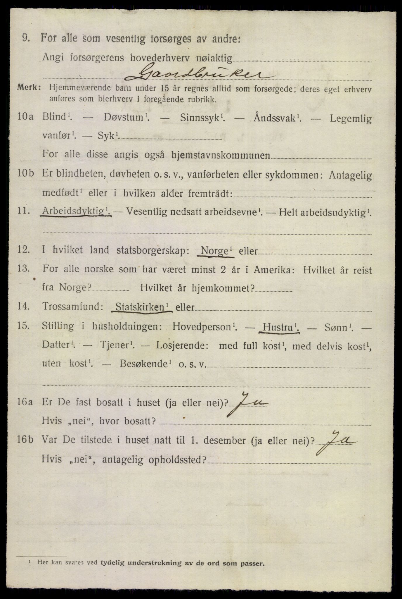 SAKO, 1920 census for Nes (Buskerud), 1920, p. 5067