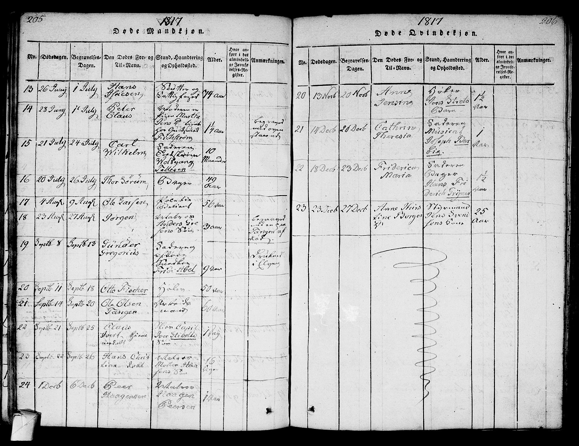 Strømsø kirkebøker, AV/SAKO-A-246/F/Fa/L0011: Parish register (official) no. I 11, 1815-1829, p. 205-206