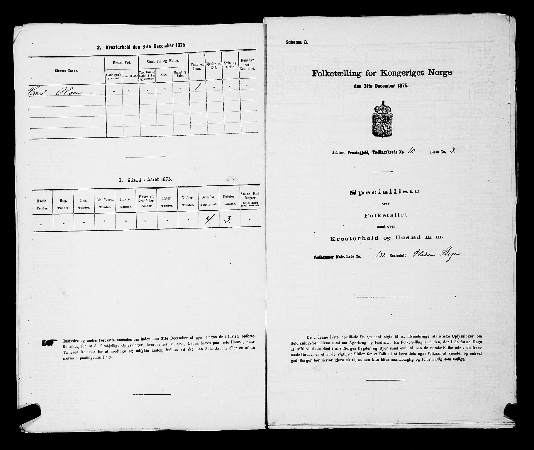 RA, 1875 census for 0124P Askim, 1875, p. 633