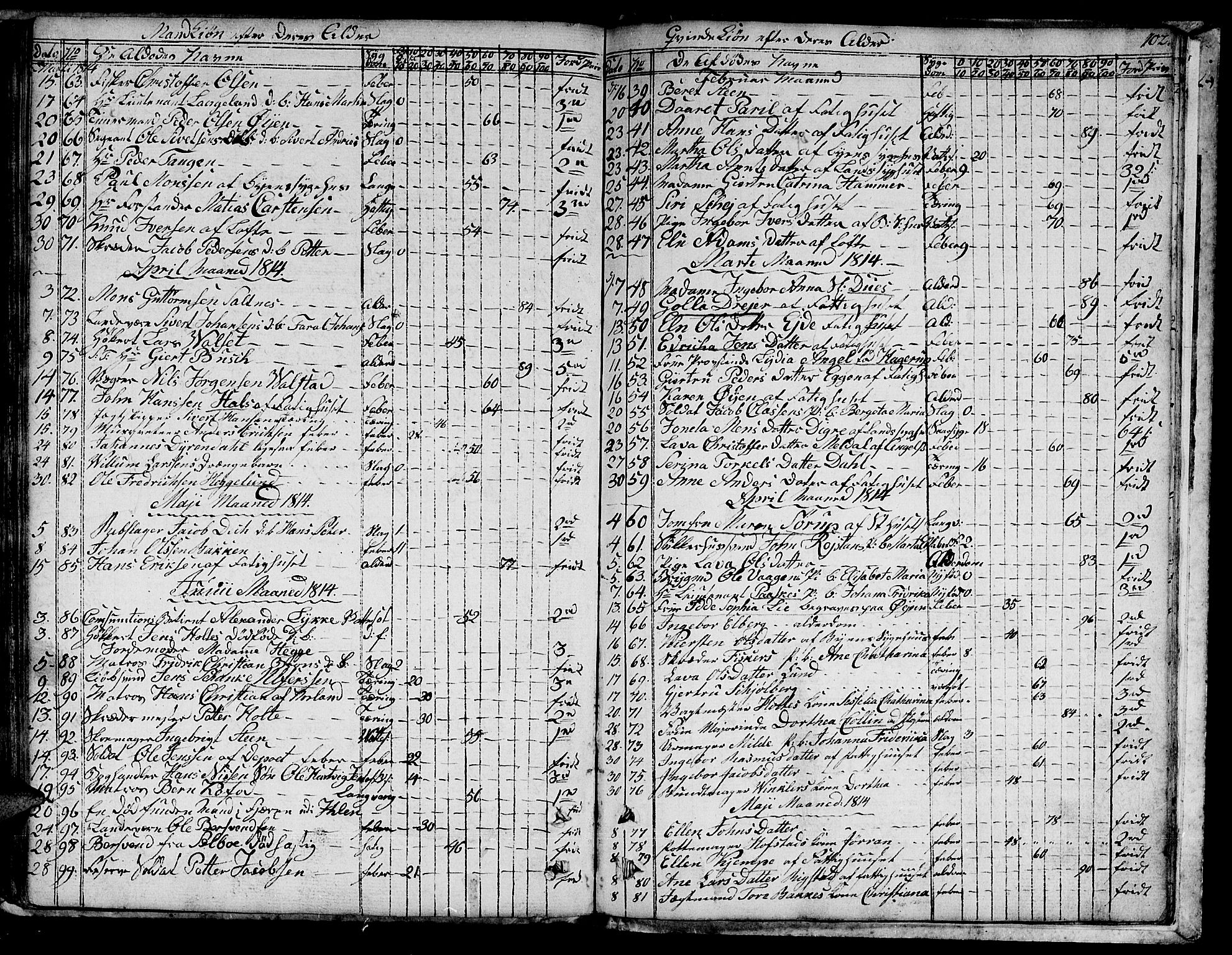 Ministerialprotokoller, klokkerbøker og fødselsregistre - Sør-Trøndelag, SAT/A-1456/601/L0040: Parish register (official) no. 601A08, 1783-1818, p. 102