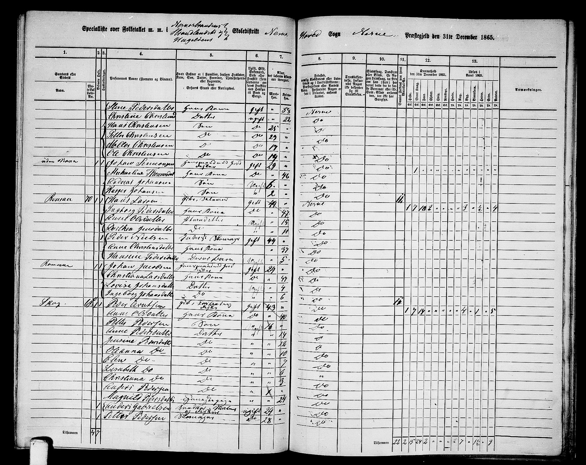 RA, 1865 census for Nesna, 1865, p. 138