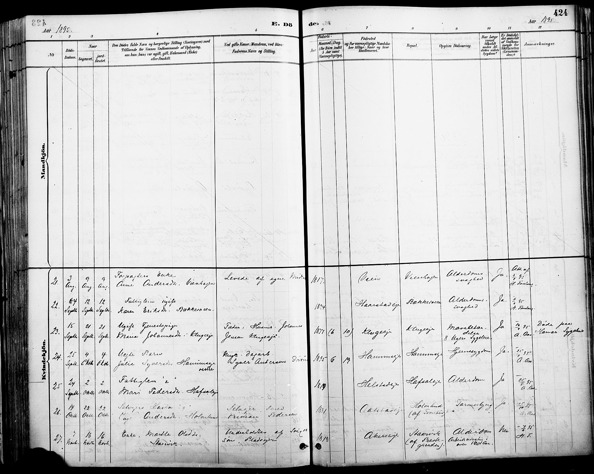 Vang prestekontor, Hedmark, AV/SAH-PREST-008/H/Ha/Haa/L0019A: Parish register (official) no. 19, 1886-1900, p. 424