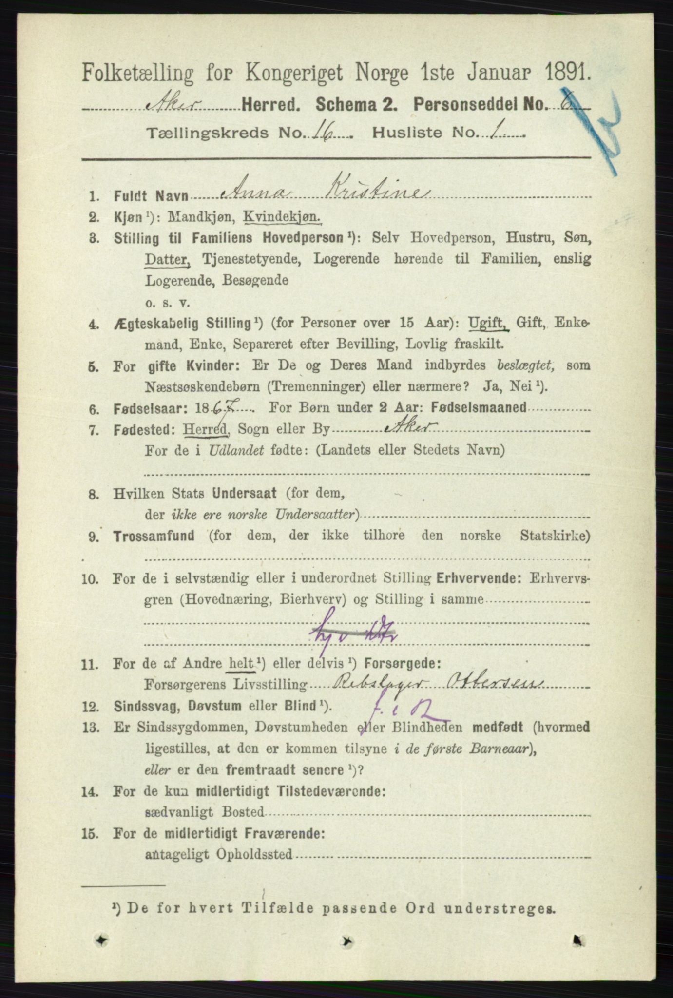 RA, 1891 census for 0218 Aker, 1891, p. 14042