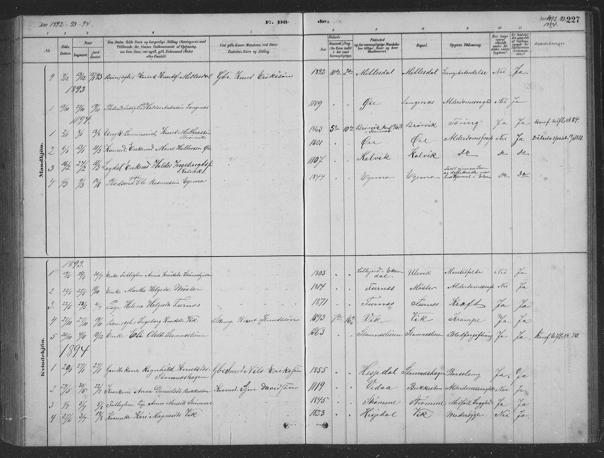 Vaksdal Sokneprestembete, SAB/A-78901/H/Hab: Parish register (copy) no. D 1, 1878-1939, p. 227