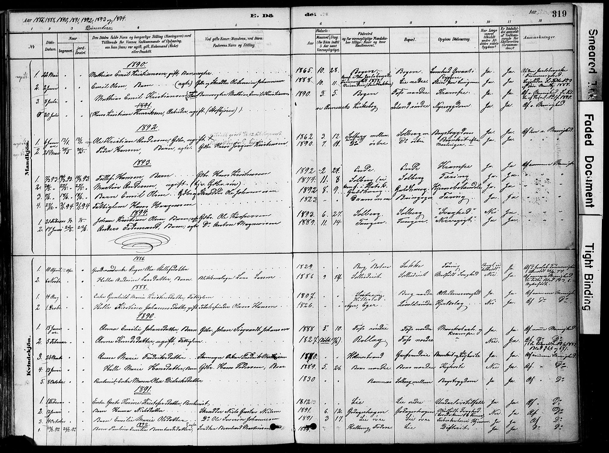 Botne kirkebøker, AV/SAKO-A-340/F/Fa/L0007: Parish register (official) no. I 7, 1878-1910, p. 319