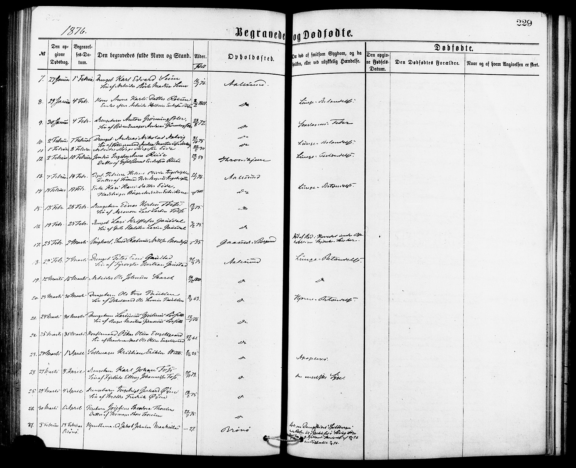 Ministerialprotokoller, klokkerbøker og fødselsregistre - Møre og Romsdal, AV/SAT-A-1454/529/L0453: Parish register (official) no. 529A03, 1872-1877, p. 229