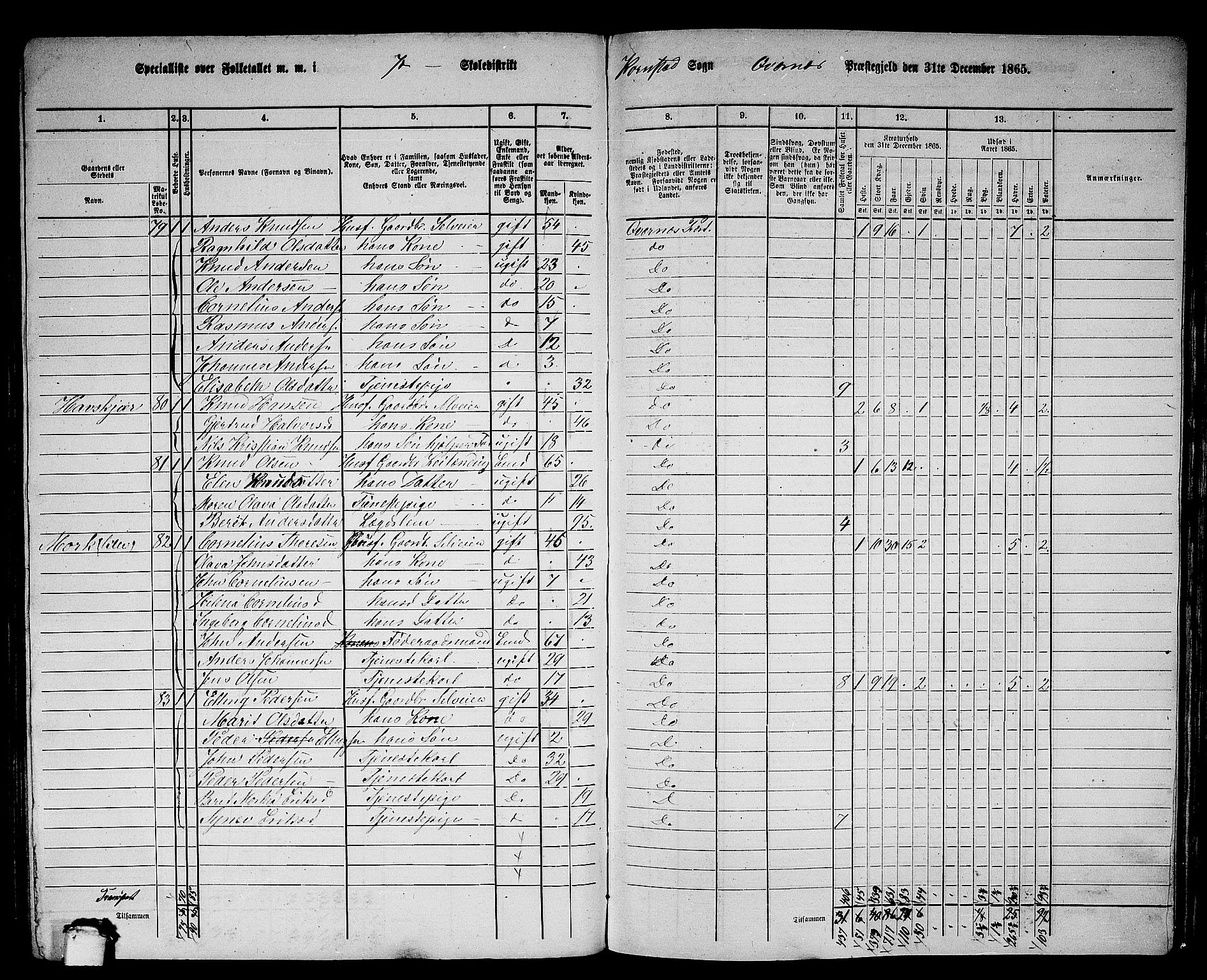 RA, 1865 census for Kvernes, 1865, p. 141