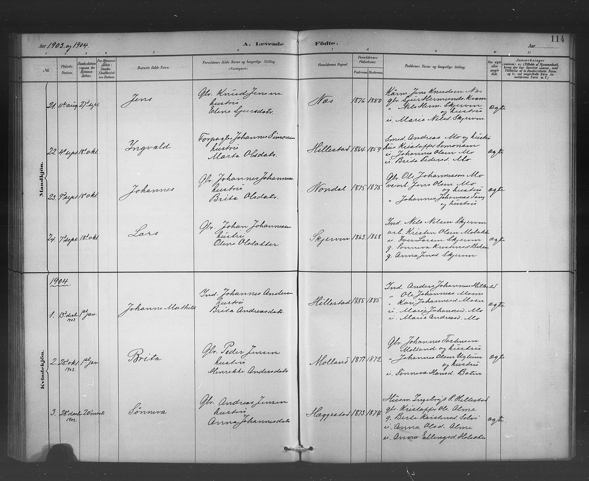 Hafslo sokneprestembete, AV/SAB-A-80301/H/Hab/Habb/L0001: Parish register (copy) no. B 1, 1882-1908, p. 114