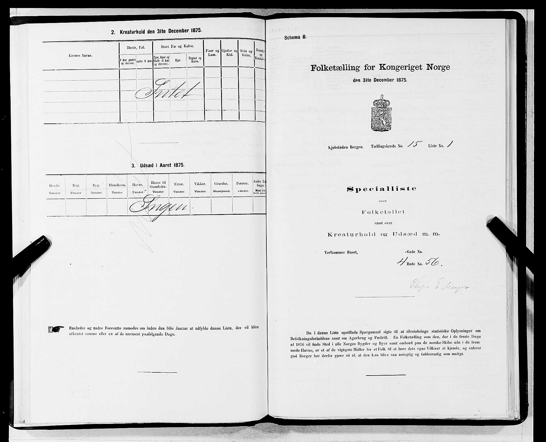 SAB, 1875 census for 1301 Bergen, 1875, p. 738