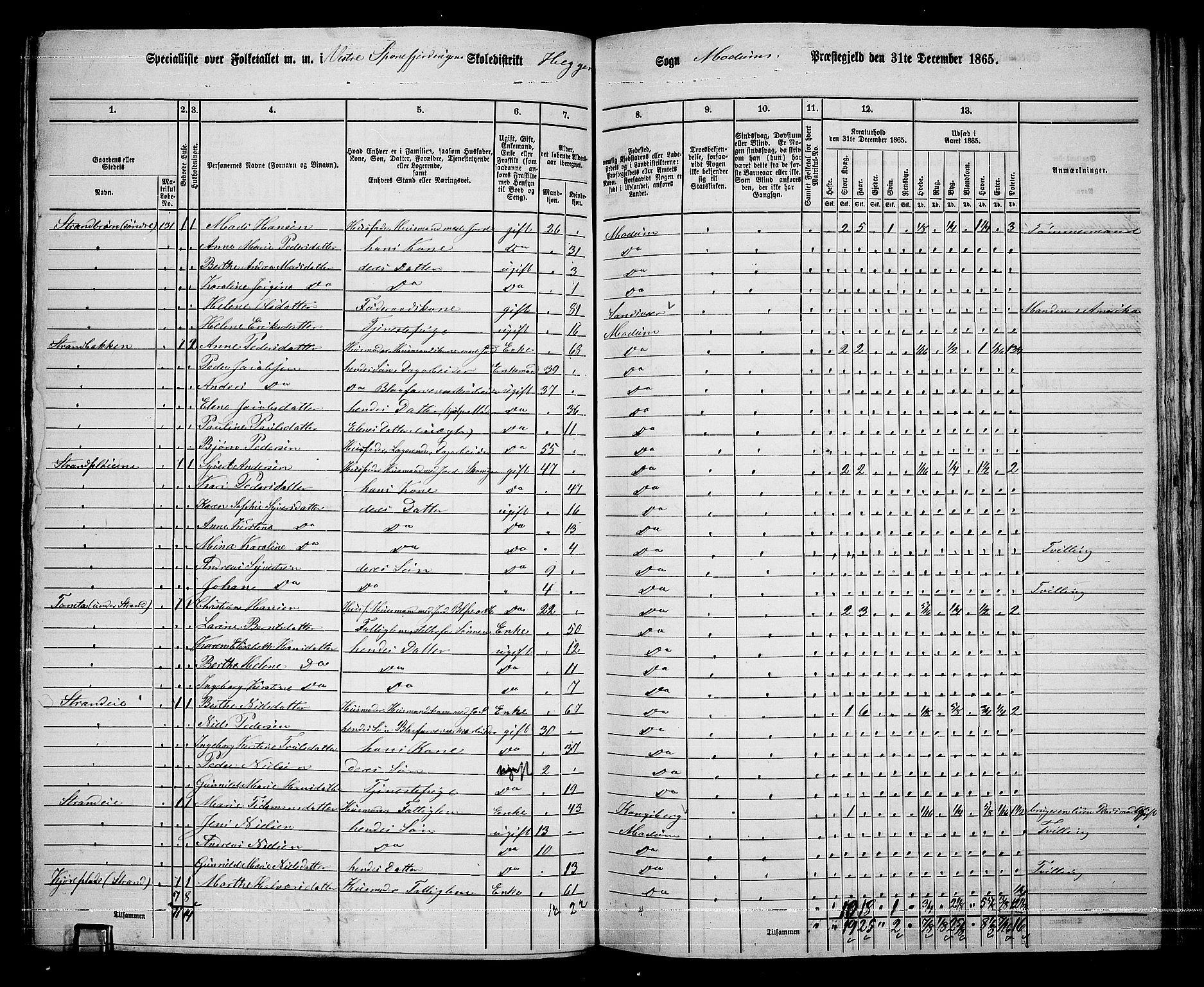 RA, 1865 census for Modum, 1865, p. 188