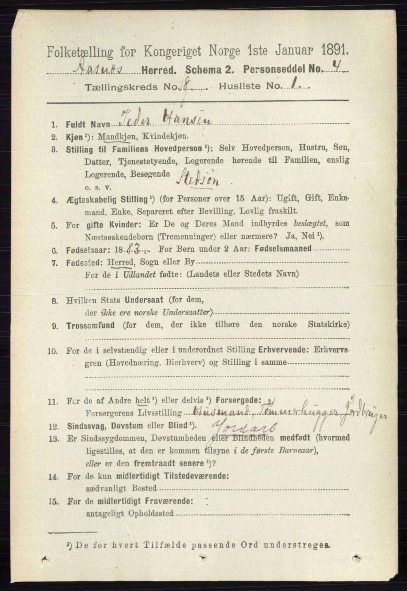 RA, 1891 census for 0425 Åsnes, 1891, p. 4184