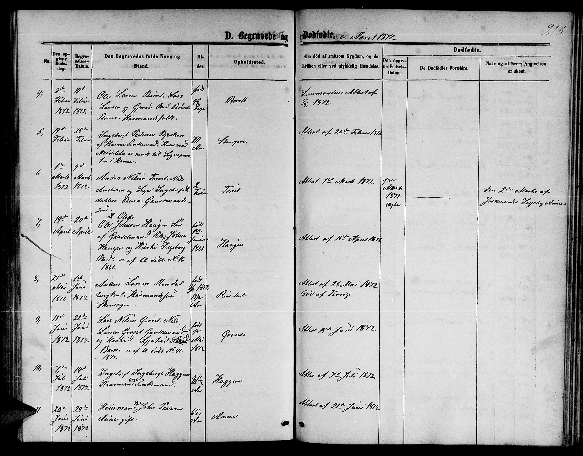 Ministerialprotokoller, klokkerbøker og fødselsregistre - Møre og Romsdal, AV/SAT-A-1454/598/L1076: Parish register (copy) no. 598C01, 1867-1878, p. 215