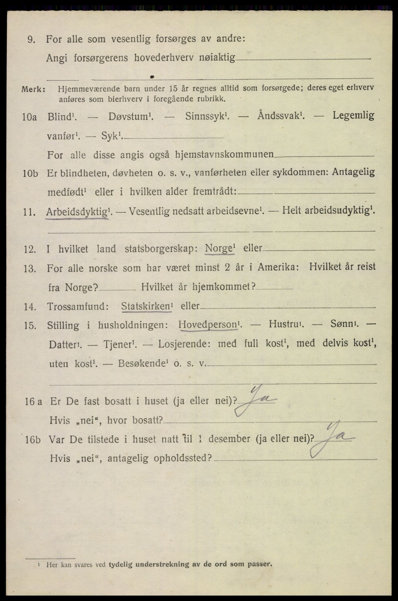 SAH, 1920 census for Furnes, 1920, p. 9616