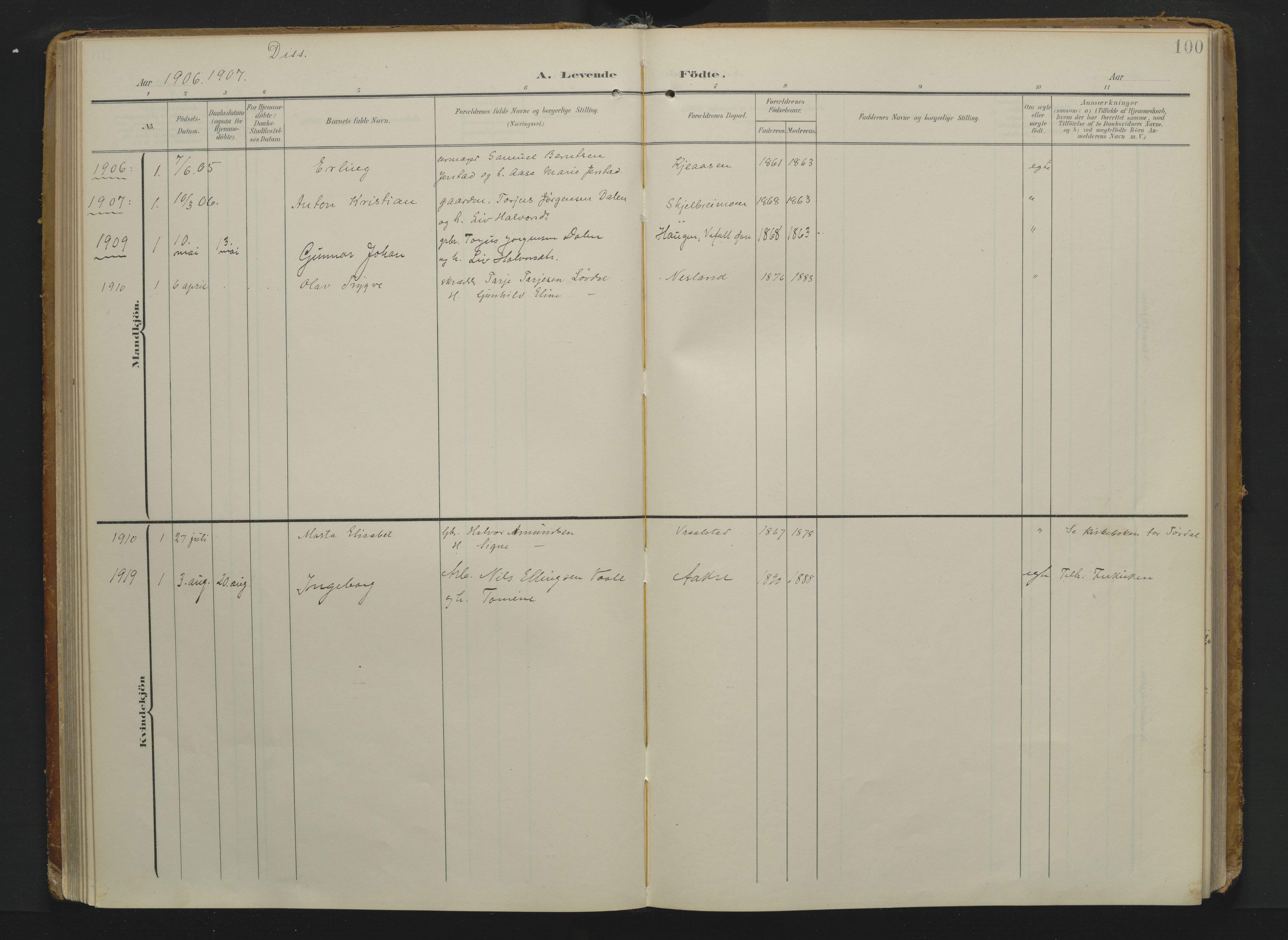 Drangedal kirkebøker, AV/SAKO-A-258/F/Fa/L0014: Parish register (official) no. 14, 1906-1920, p. 100