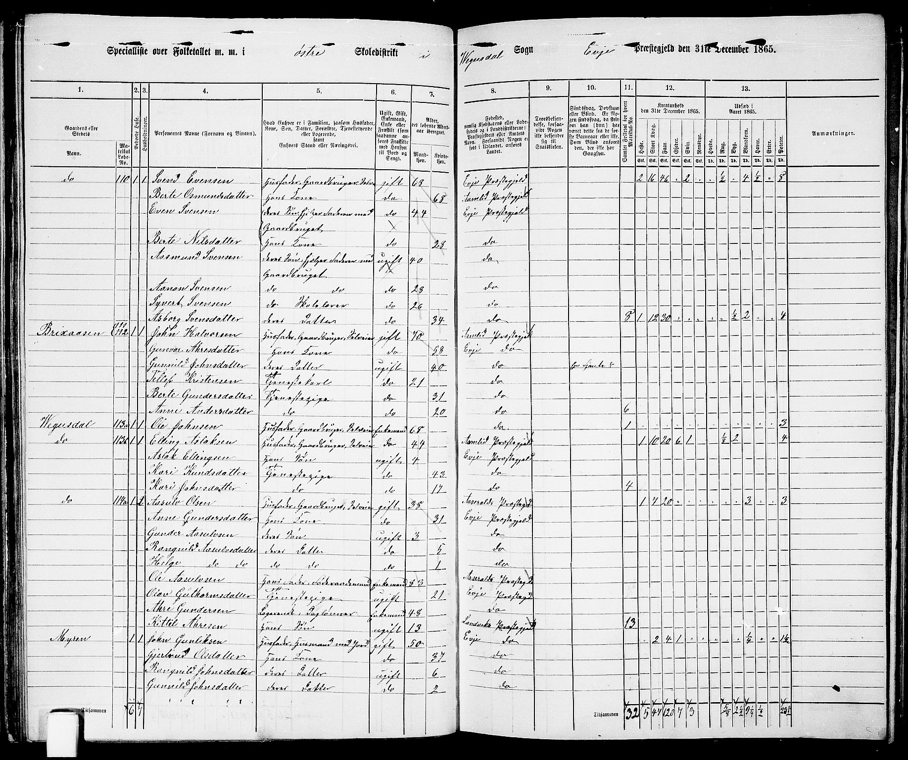 RA, 1865 census for Evje, 1865, p. 55