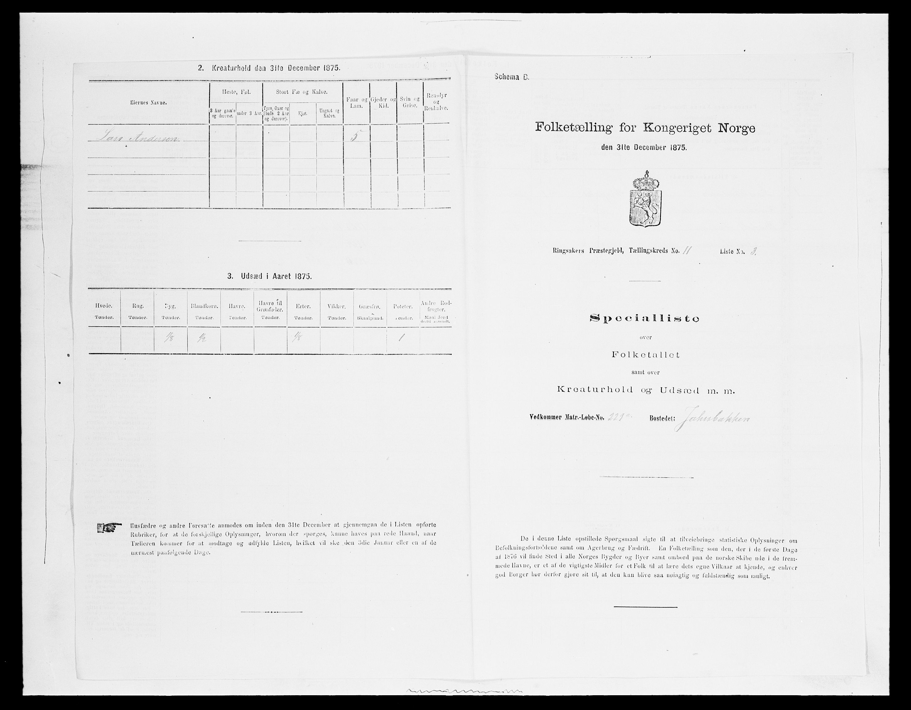 SAH, 1875 census for 0412P Ringsaker, 1875, p. 2372