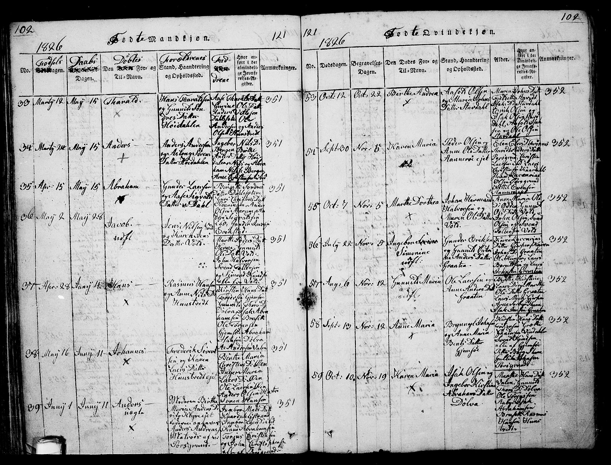 Solum kirkebøker, SAKO/A-306/G/Ga/L0001: Parish register (copy) no. I 1, 1814-1833, p. 102