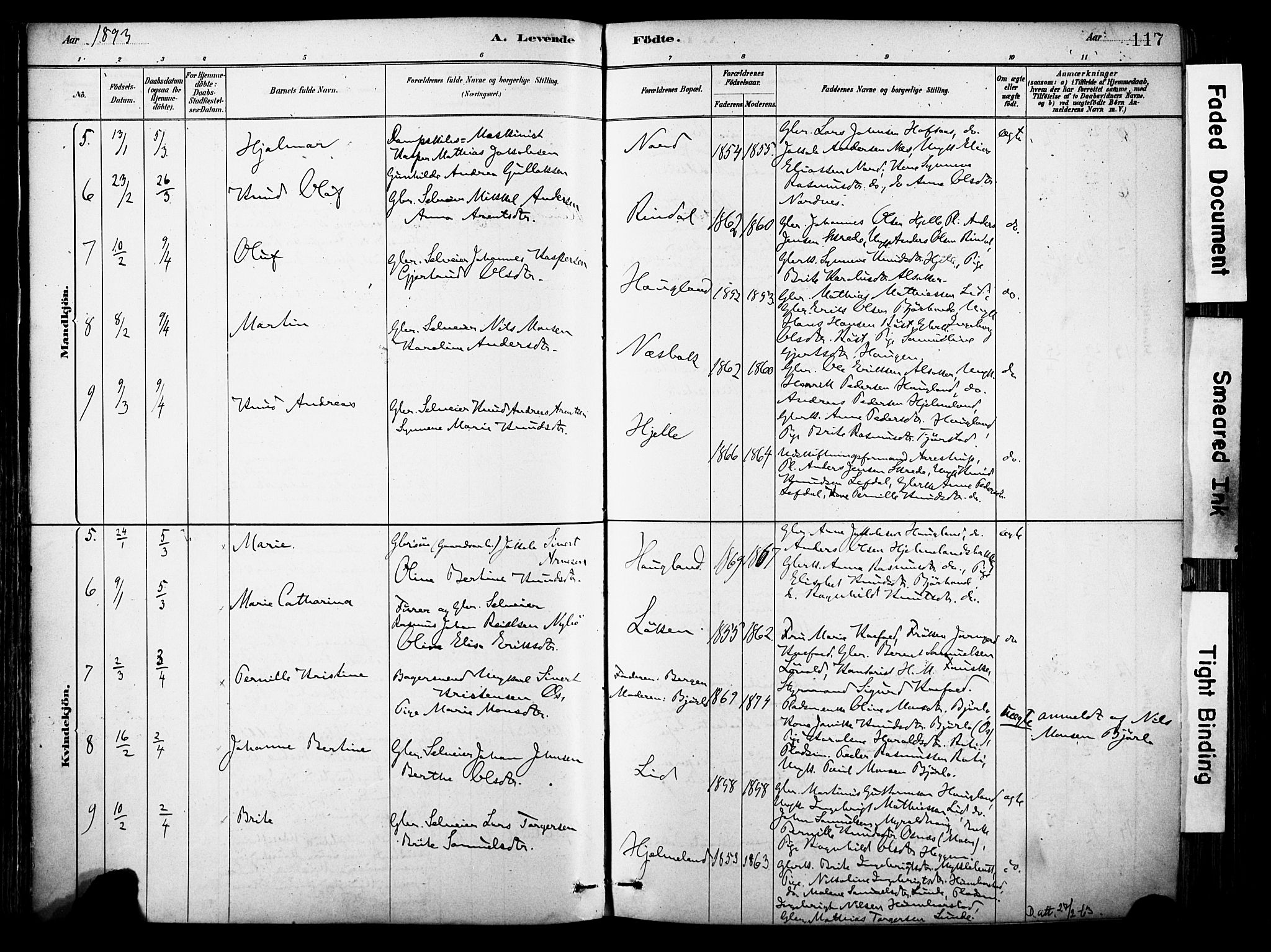 Eid sokneprestembete, AV/SAB-A-82301/H/Haa/Haab/L0001: Parish register (official) no. B 1, 1879-1906, p. 117