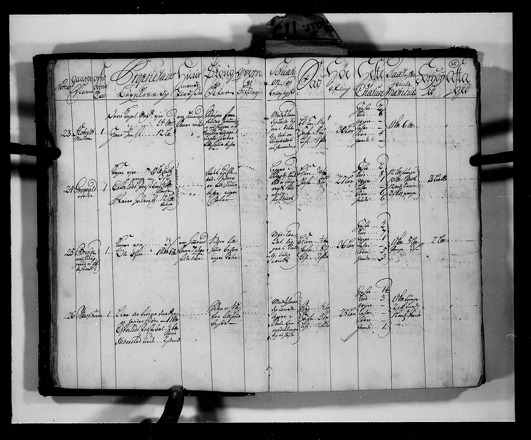 Rentekammeret inntil 1814, Realistisk ordnet avdeling, AV/RA-EA-4070/N/Nb/Nbf/L0113: Numedal og Sandsvær eksaminasjonsprotokoll, 1723, p. 24b-25a