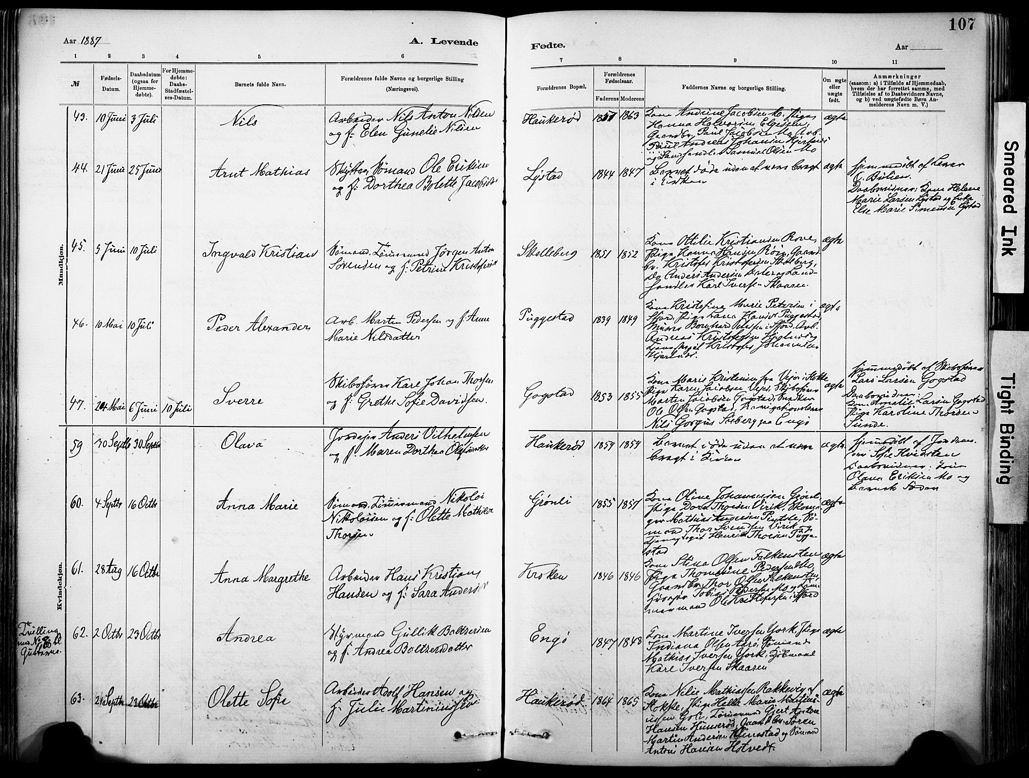 Sandar kirkebøker, SAKO/A-243/F/Fa/L0012: Parish register (official) no. 12, 1883-1895, p. 107