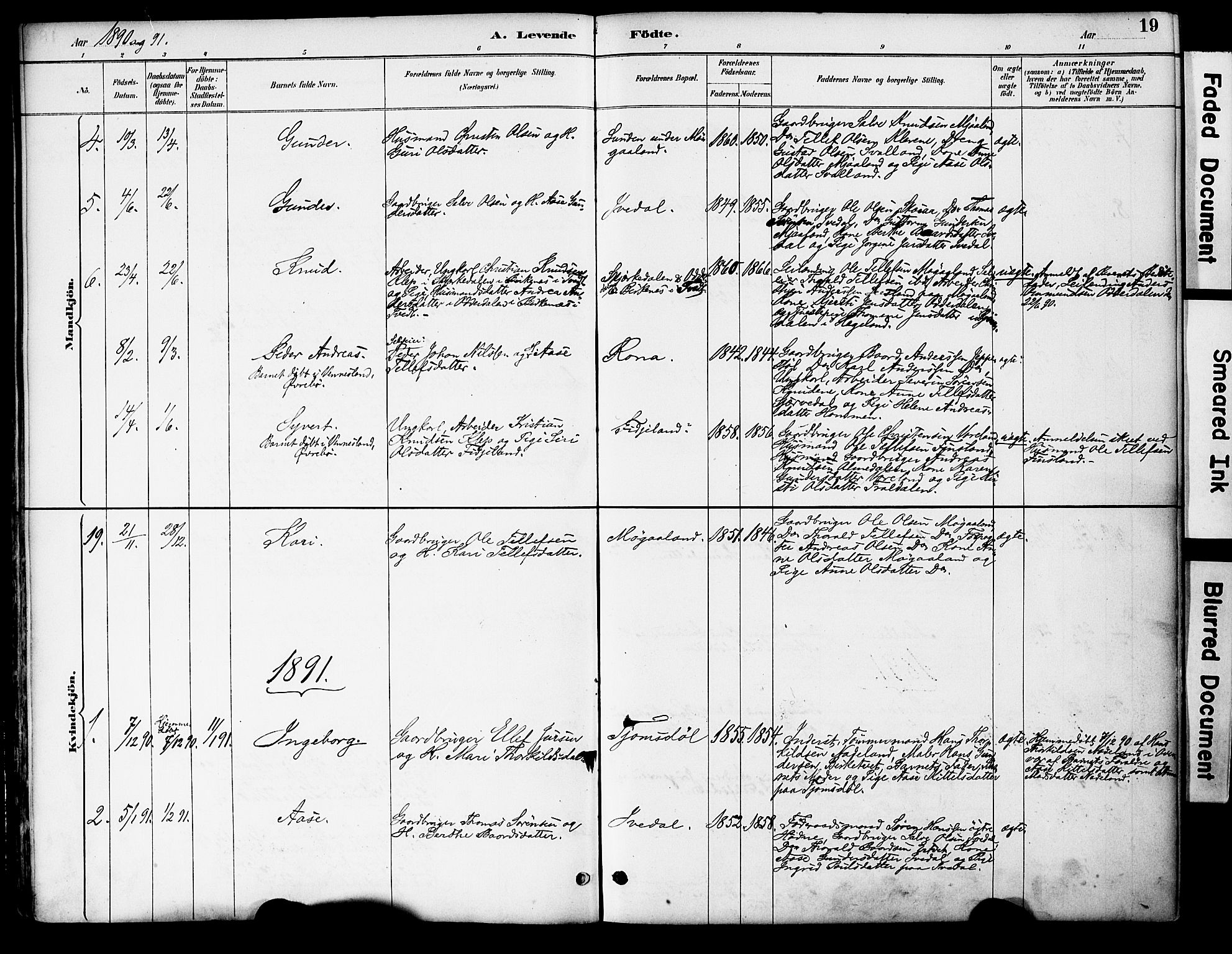 Evje sokneprestkontor, SAK/1111-0008/F/Fa/Fac/L0003: Parish register (official) no. A 3, 1884-1909, p. 19