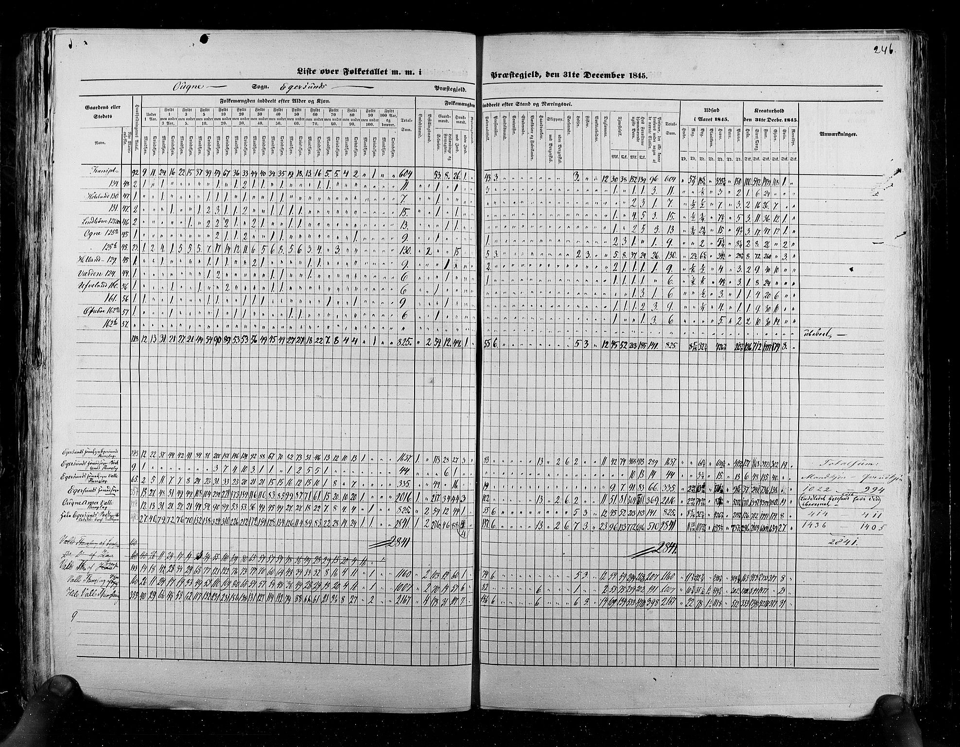 RA, Census 1845, vol. 6: Lister og Mandal amt og Stavanger amt, 1845, p. 246