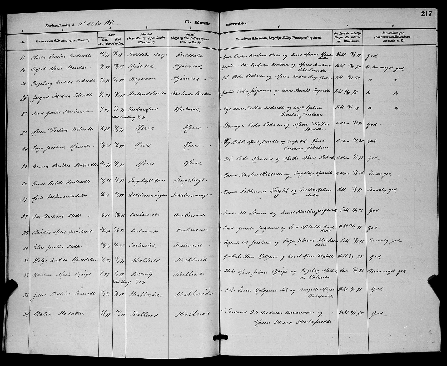 Bamble kirkebøker, SAKO/A-253/G/Ga/L0009: Parish register (copy) no. I 9, 1888-1900, p. 217