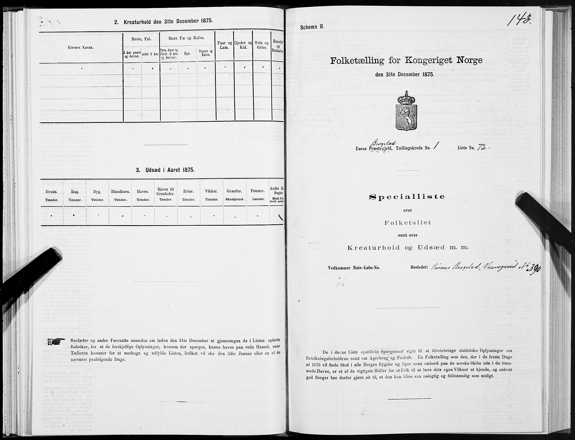 SAT, 1875 census for 1640P Røros, 1875, p. 1143
