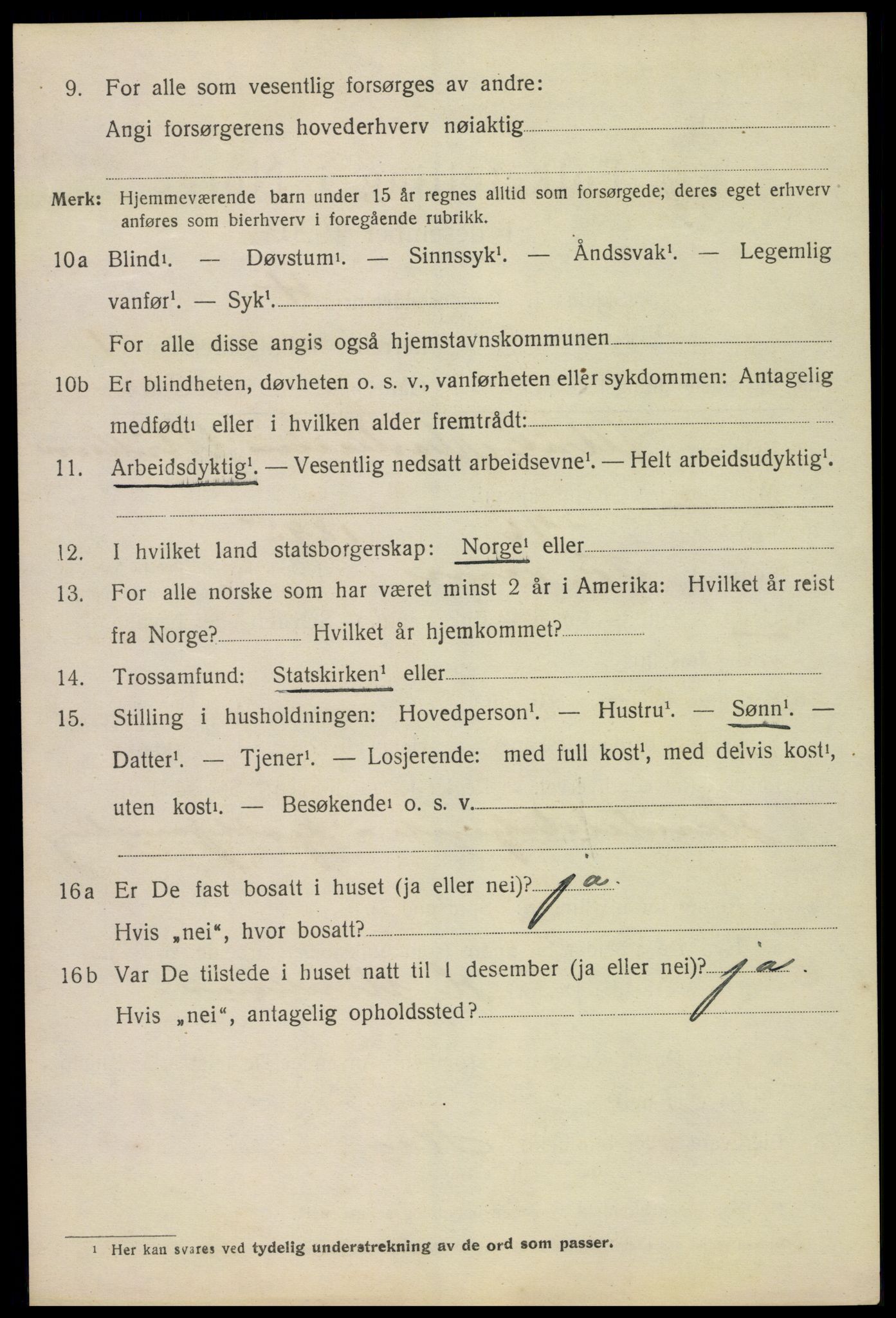 SAKO, 1920 census for Fredriksvern, 1920, p. 1480