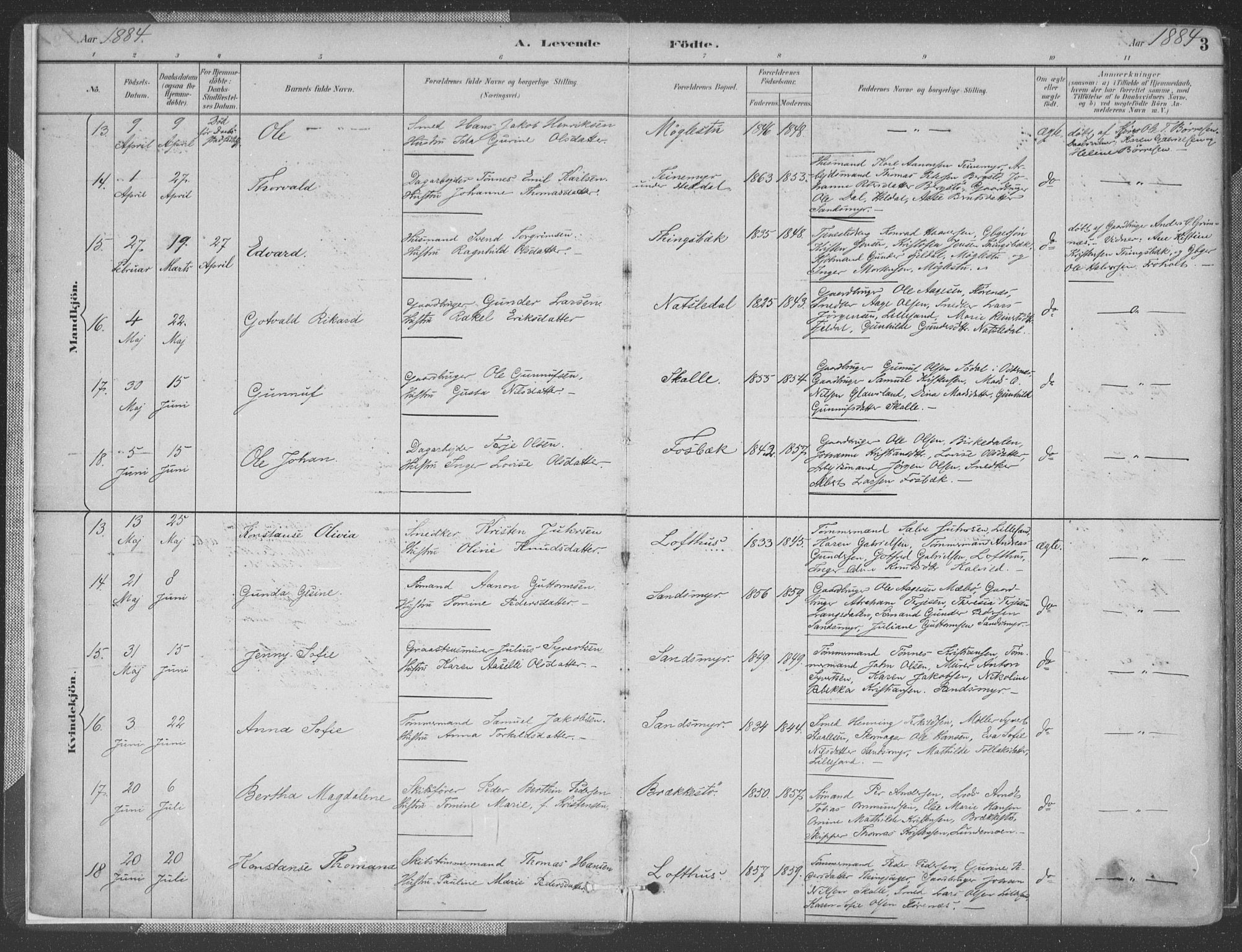 Vestre Moland sokneprestkontor, AV/SAK-1111-0046/F/Fa/Fab/L0009: Parish register (official) no. A 9, 1884-1899, p. 3