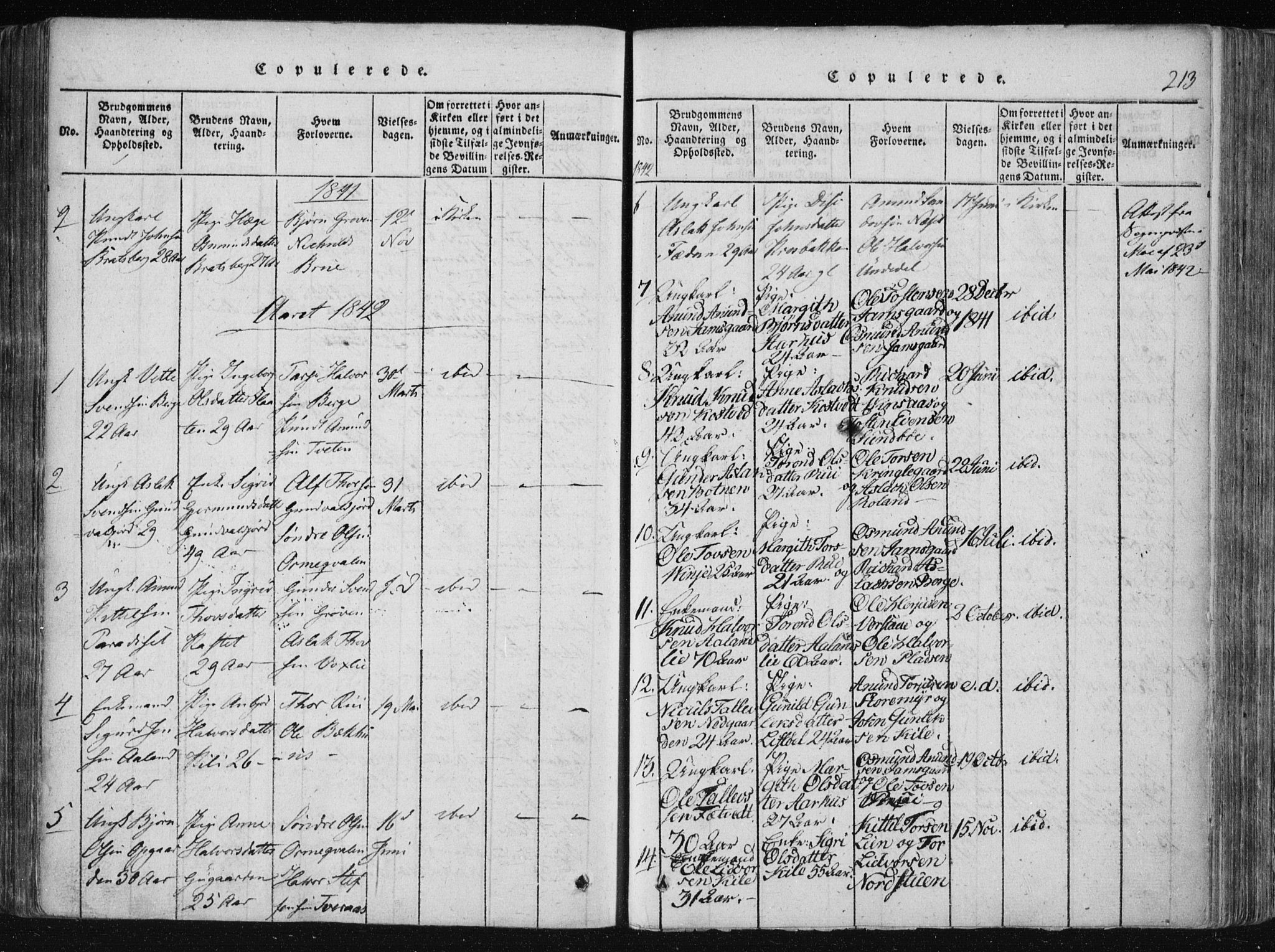 Vinje kirkebøker, SAKO/A-312/F/Fa/L0003: Parish register (official) no. I 3, 1814-1843, p. 213