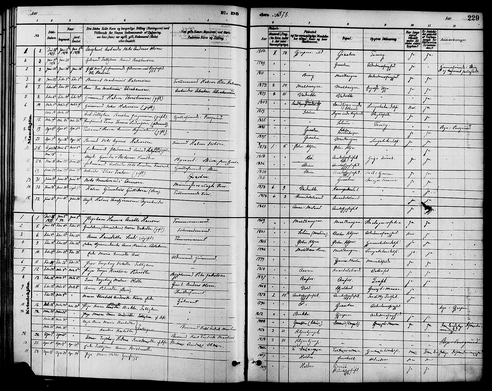 Solum kirkebøker, SAKO/A-306/F/Fa/L0009: Parish register (official) no. I 9, 1877-1887, p. 229