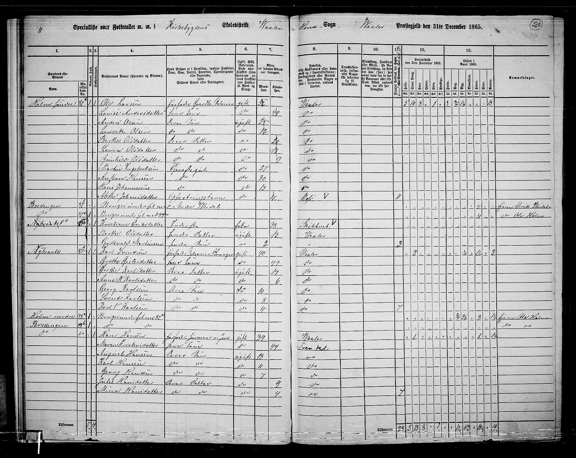 RA, 1865 census for Våler, 1865, p. 21