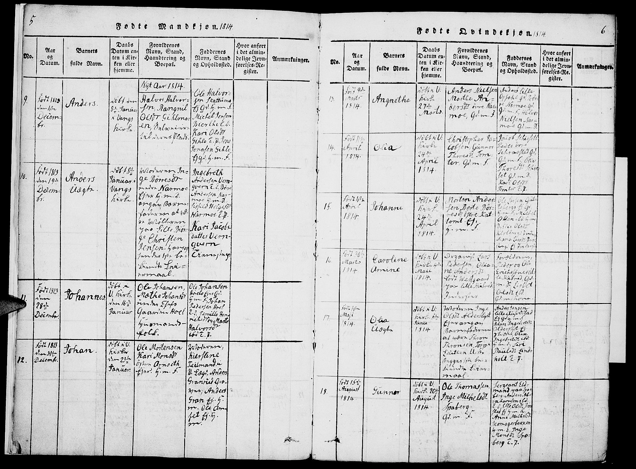 Vang prestekontor, Hedmark, SAH/PREST-008/H/Ha/Haa/L0007: Parish register (official) no. 7, 1813-1826, p. 5-6