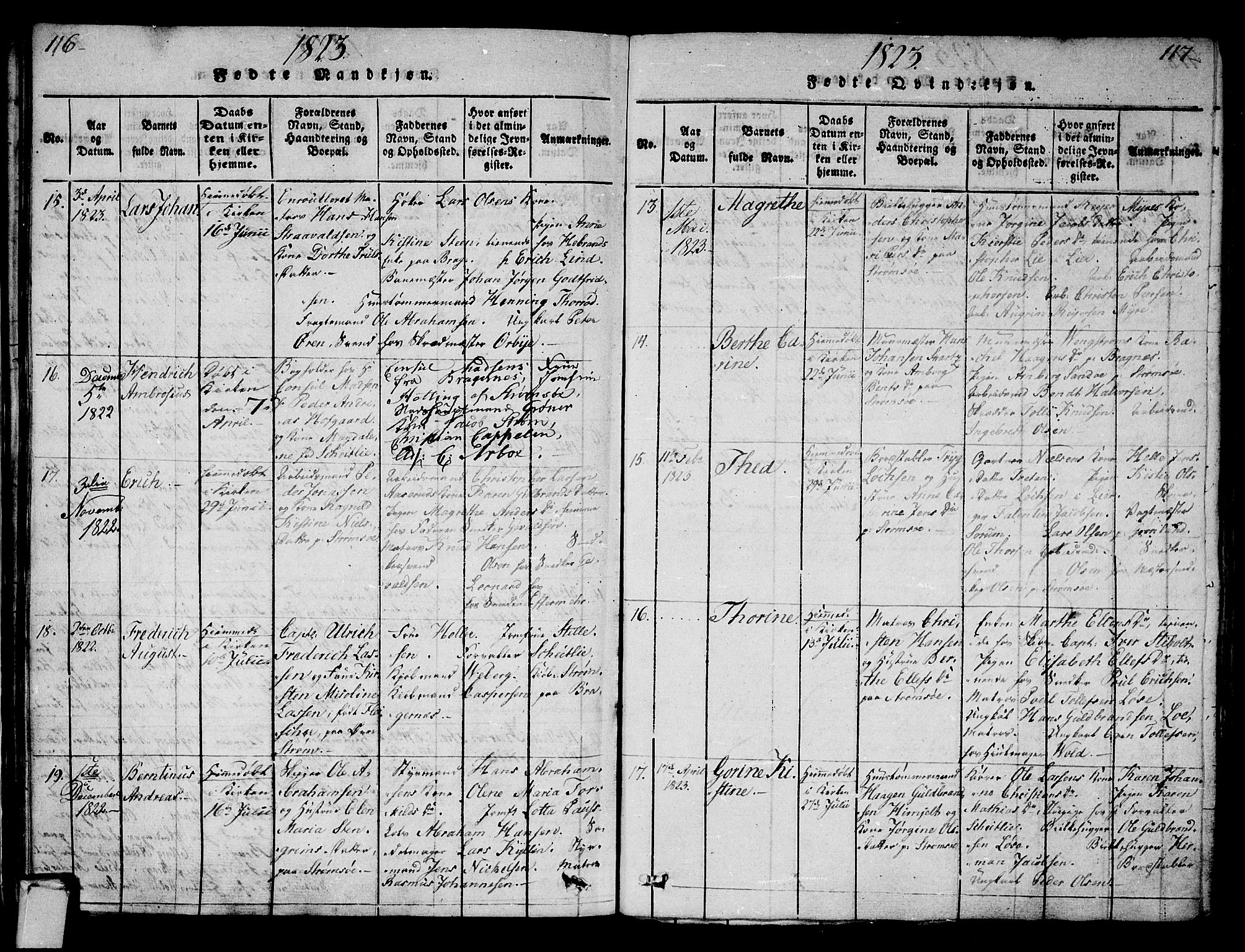 Strømsø kirkebøker, AV/SAKO-A-246/G/Ga/L0001: Parish register (copy) no. 1, 1815-1829, p. 116-117