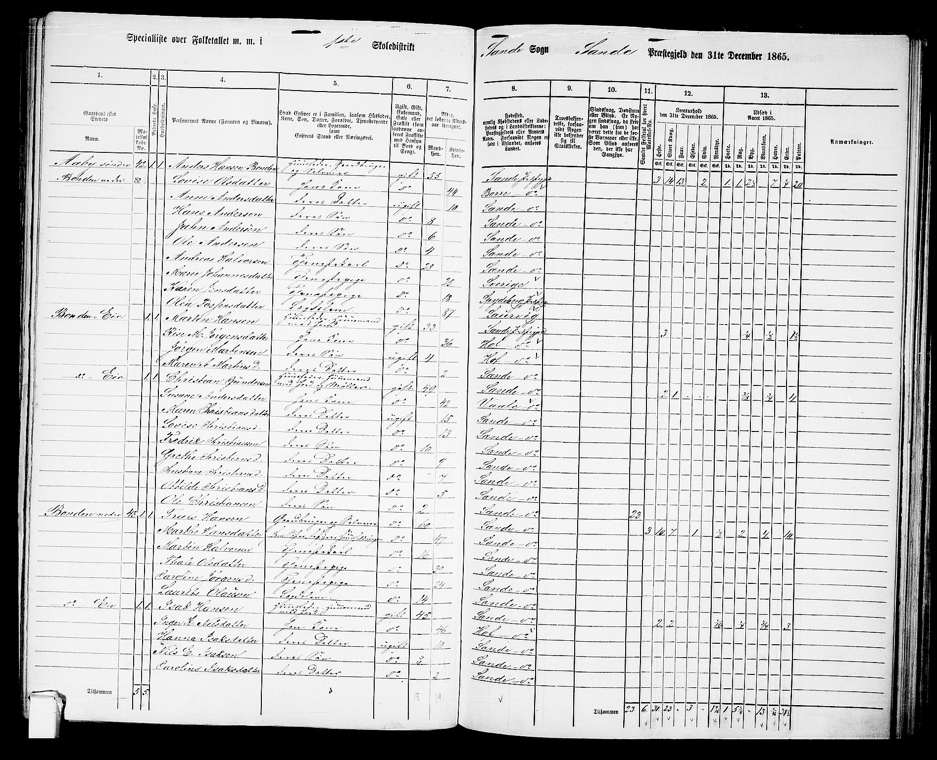 RA, 1865 census for Sande, 1865, p. 22