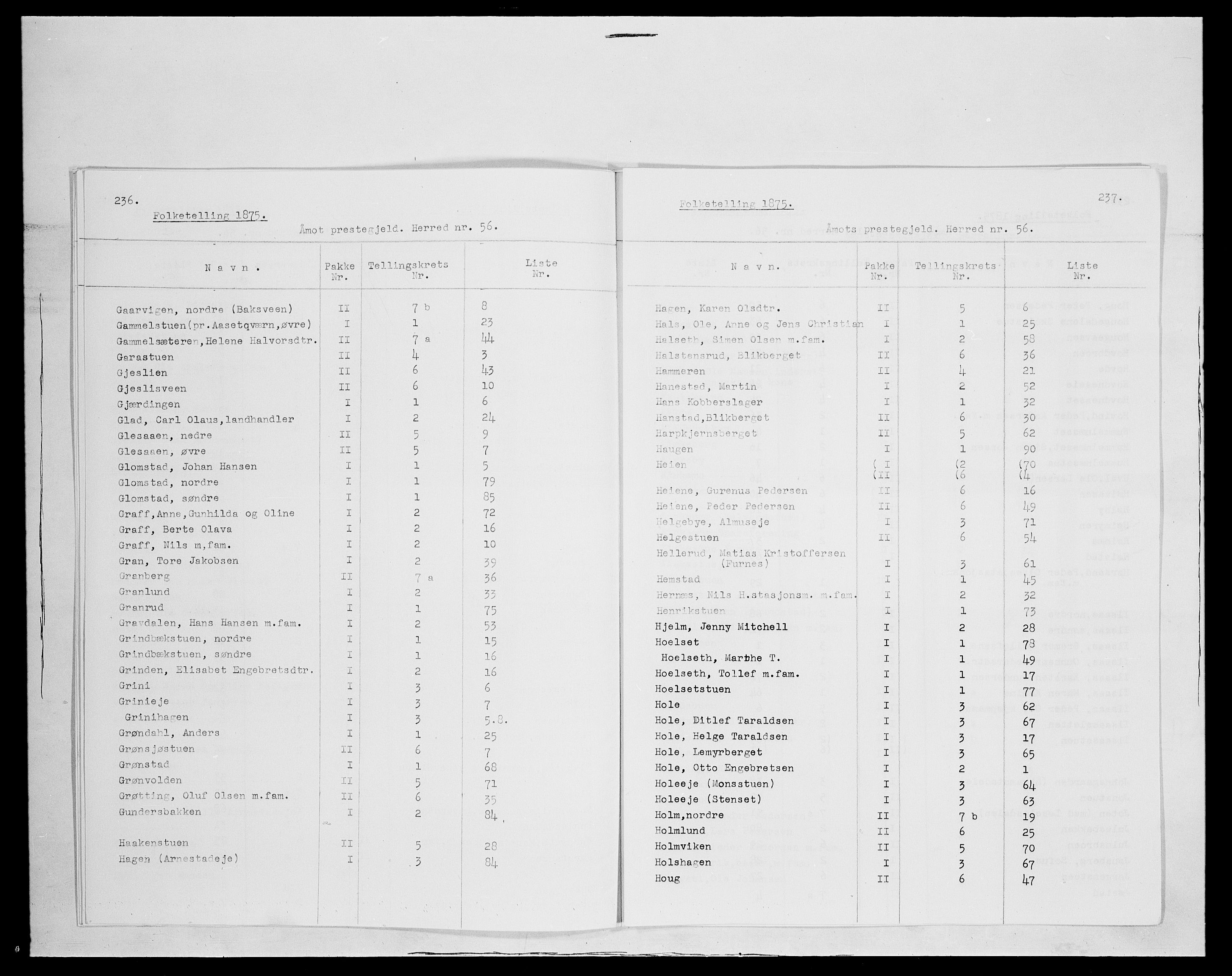 SAH, 1875 census for 0429P Åmot, 1875, p. 4