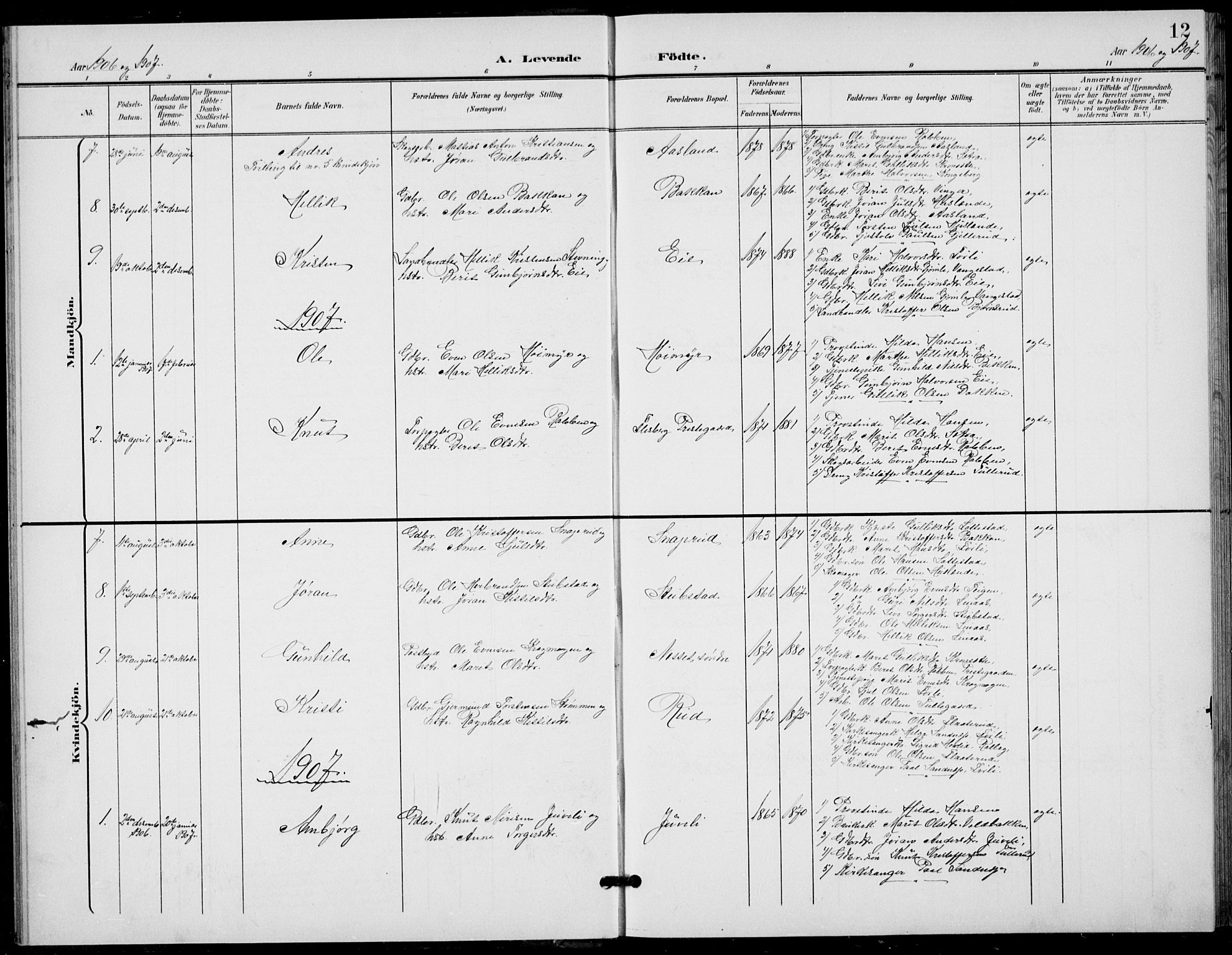 Flesberg kirkebøker, SAKO/A-18/G/Ga/L0005: Parish register (copy) no. I 5, 1899-1908, p. 12