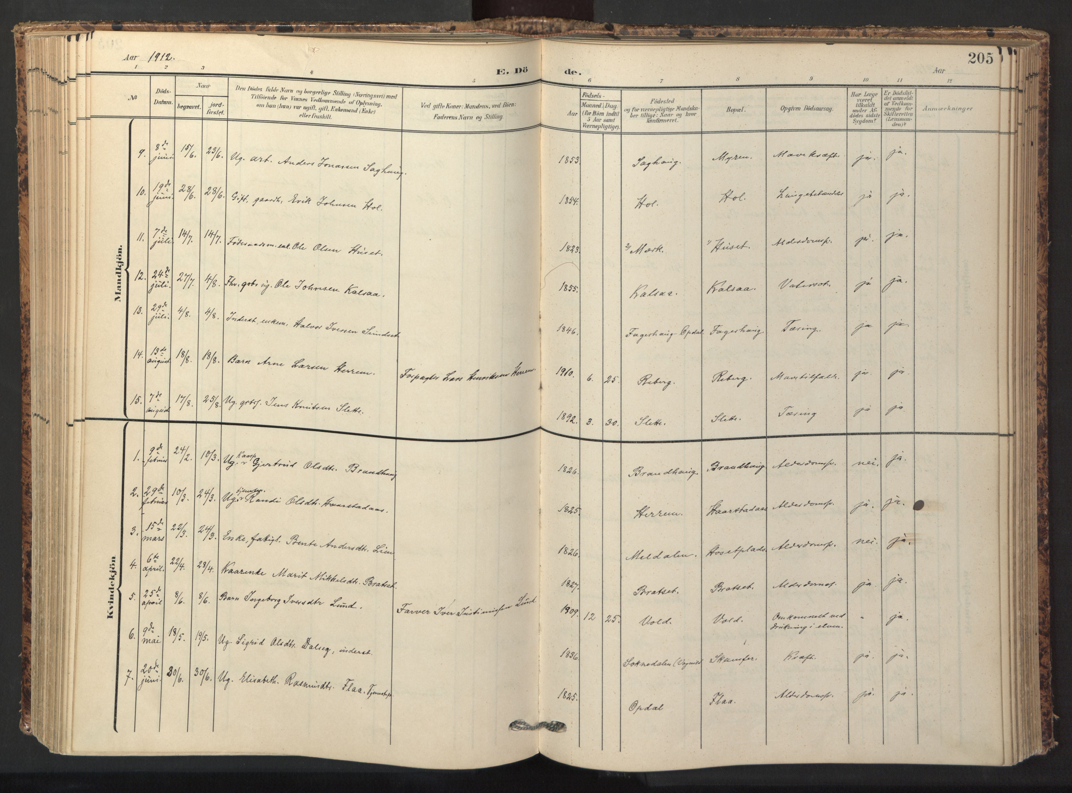 Ministerialprotokoller, klokkerbøker og fødselsregistre - Sør-Trøndelag, SAT/A-1456/674/L0873: Parish register (official) no. 674A05, 1908-1923, p. 205