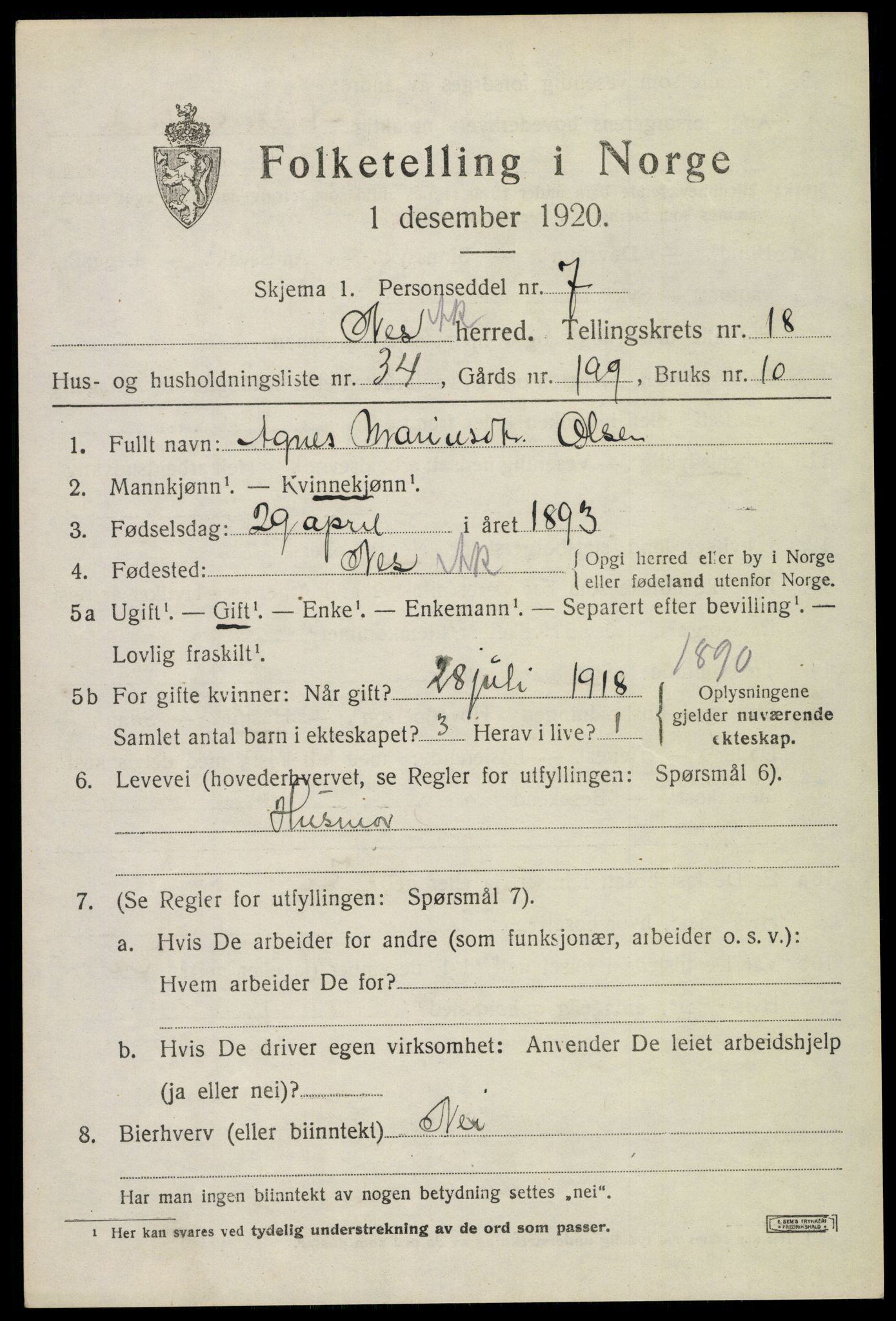 SAO, 1920 census for Nes, 1920, p. 18238