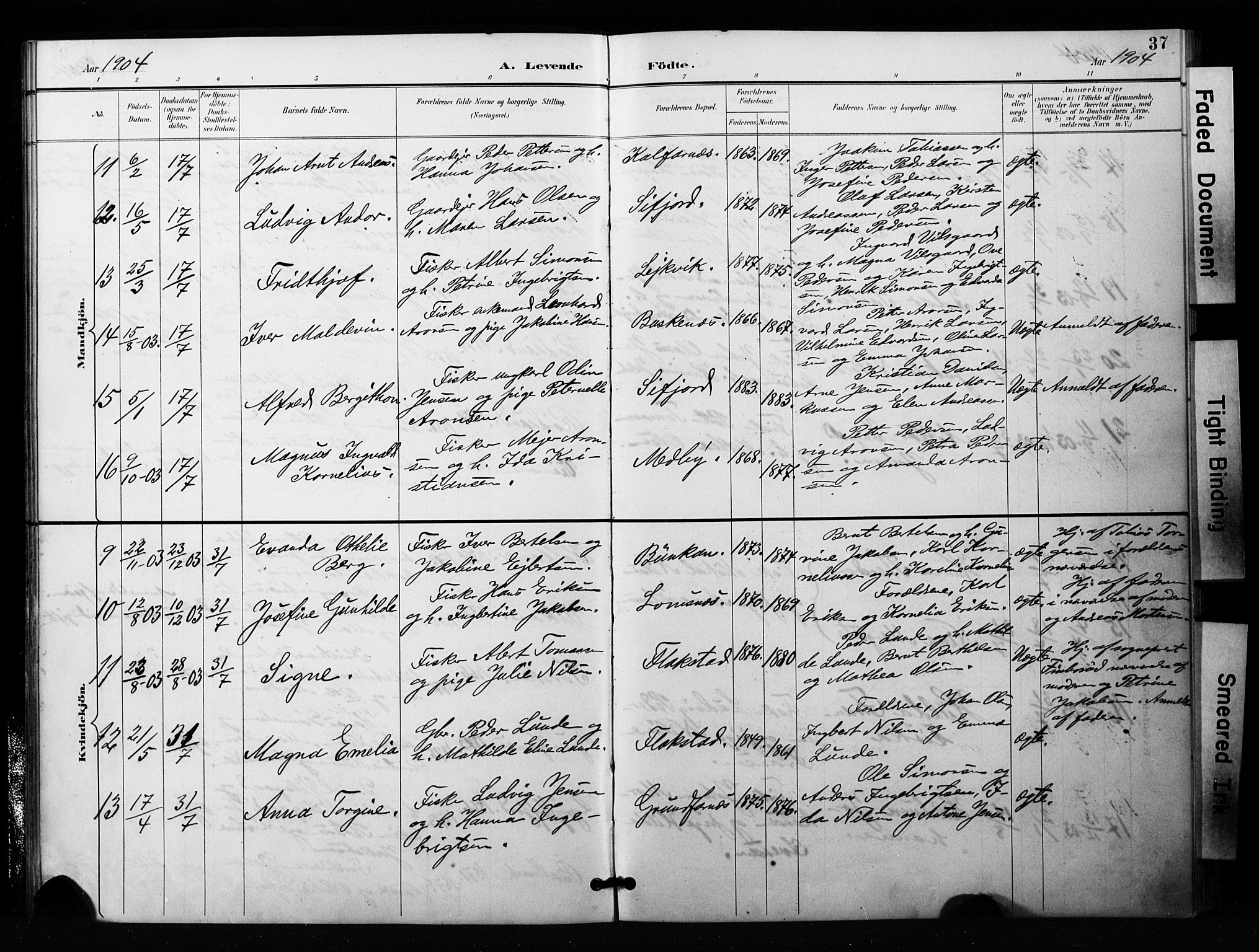 Berg sokneprestkontor, AV/SATØ-S-1318/G/Ga/Gaa/L0006kirke: Parish register (official) no. 6, 1894-1904, p. 37