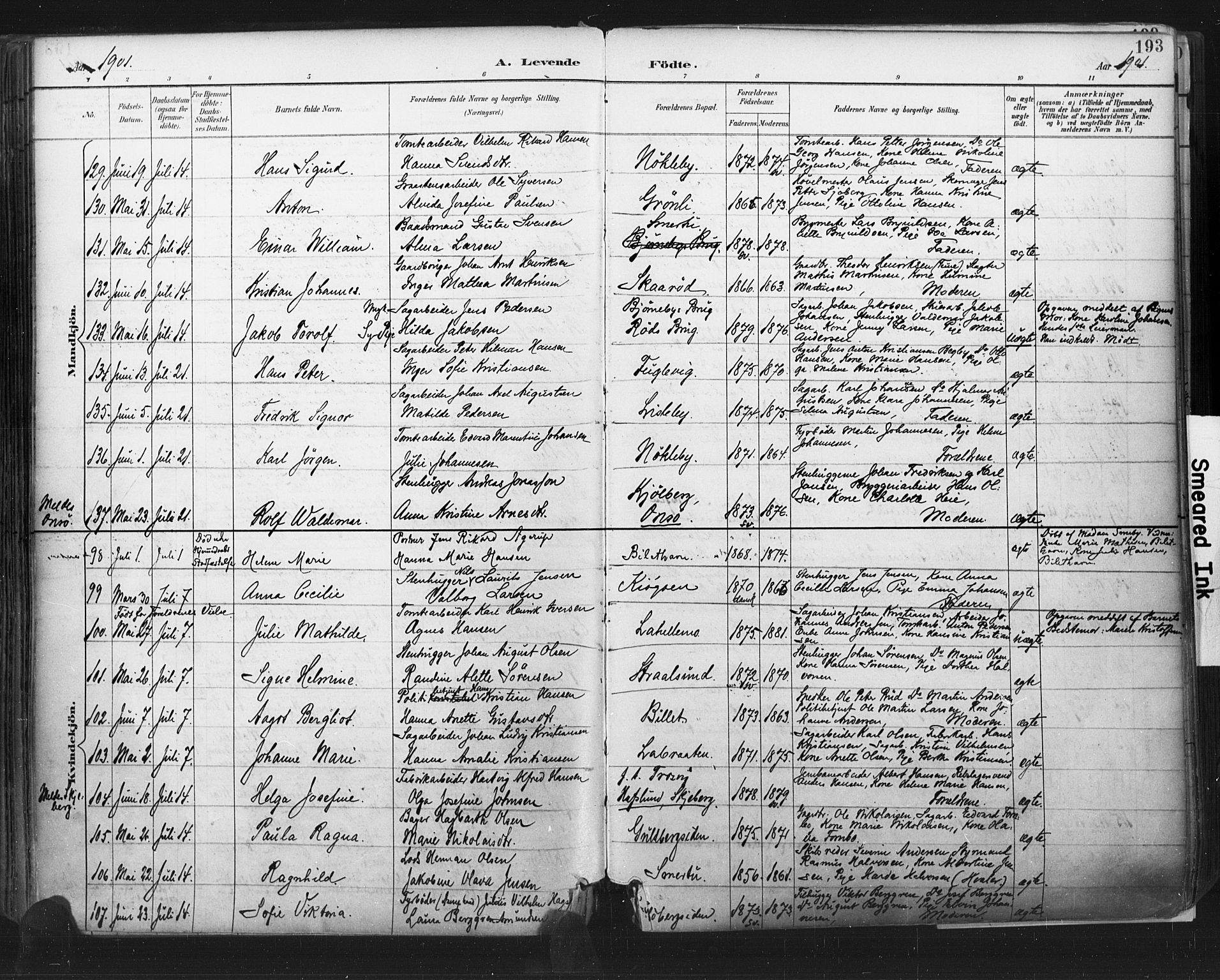 Glemmen prestekontor Kirkebøker, SAO/A-10908/F/Fa/L0013: Parish register (official) no. 13, 1892-1907, p. 193