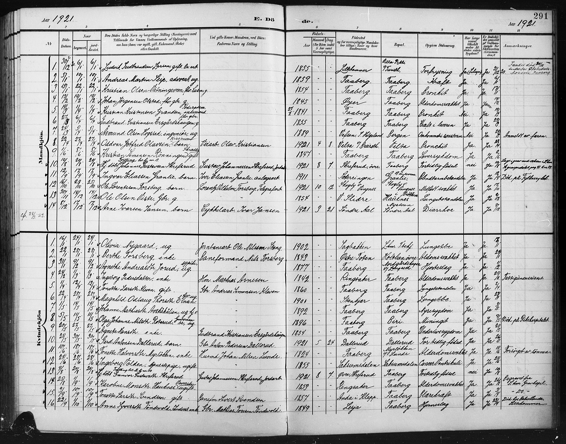 Fåberg prestekontor, AV/SAH-PREST-086/H/Ha/Hab/L0012: Parish register (copy) no. 12, 1903-1924, p. 291
