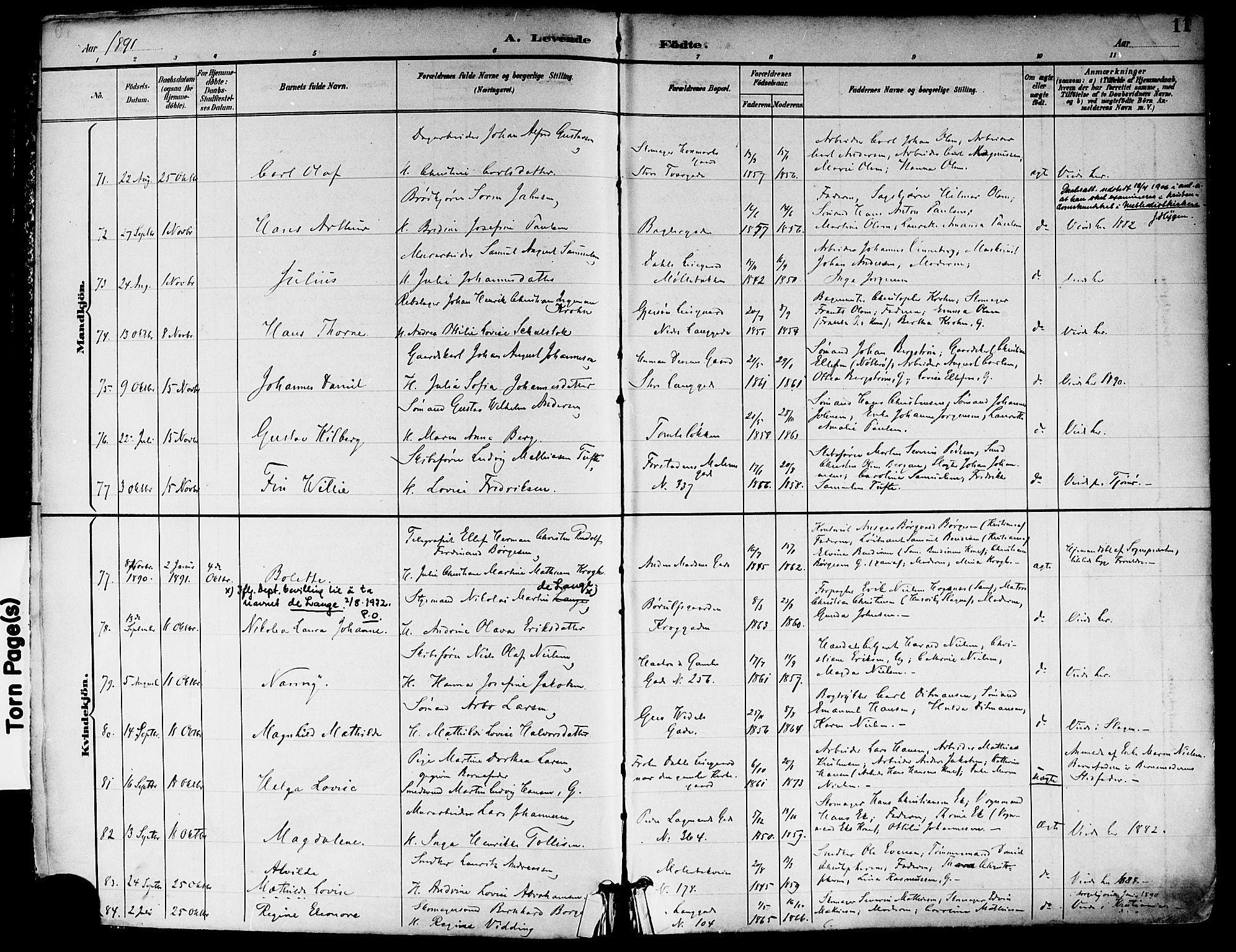 Tønsberg kirkebøker, SAKO/A-330/F/Fa/L0012: Parish register (official) no. I 12, 1891-1899, p. 11