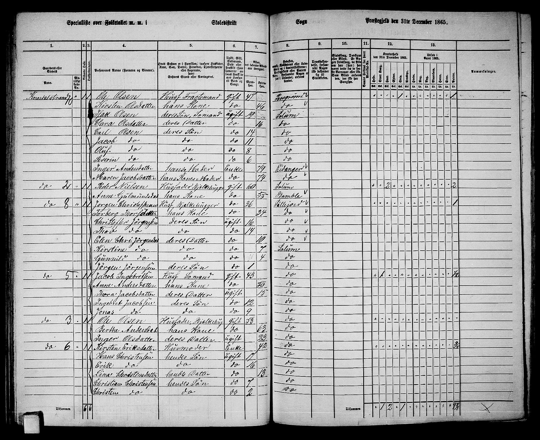 RA, 1865 census for Solum, 1865, p. 107