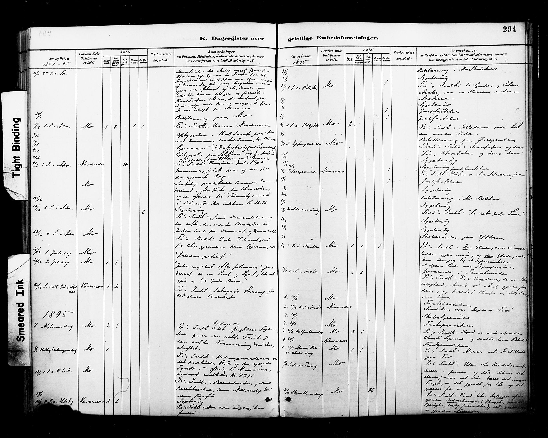 Ministerialprotokoller, klokkerbøker og fødselsregistre - Nordland, AV/SAT-A-1459/827/L0401: Parish register (official) no. 827A13, 1887-1905, p. 294